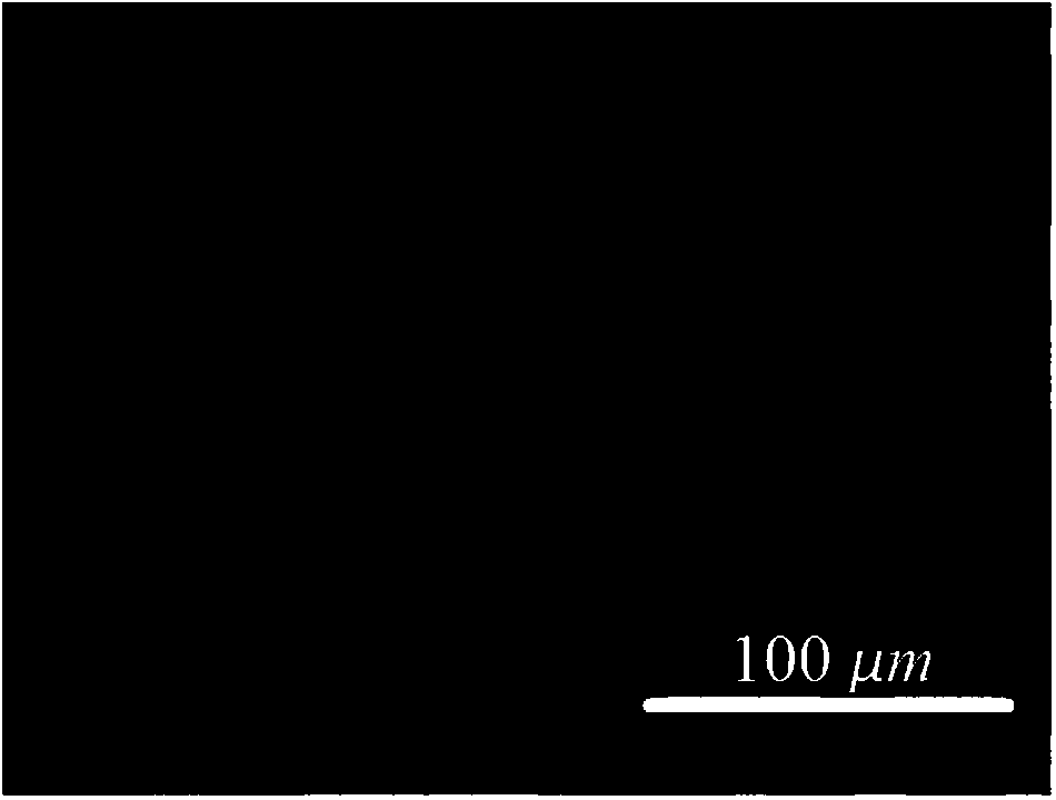 Coarse-grained sphere-like zirconium hydroxide with large specific surface area and preparation method of zirconium hydroxide