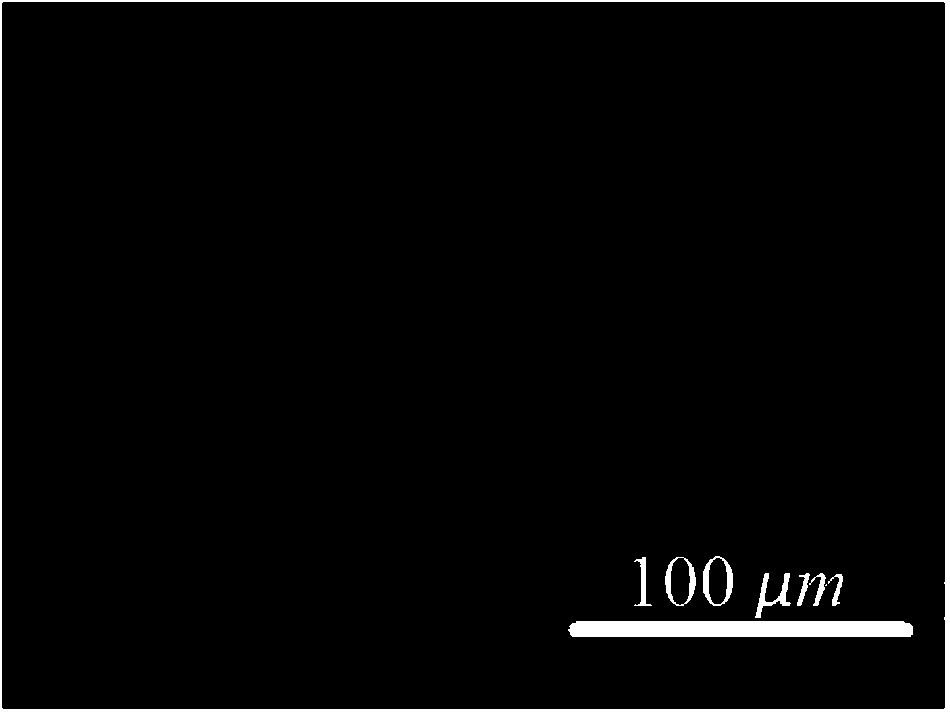 Coarse-grained sphere-like zirconium hydroxide with large specific surface area and preparation method of zirconium hydroxide