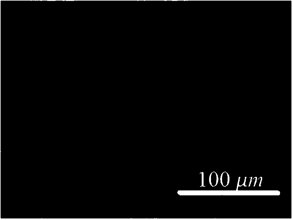 Coarse-grained sphere-like zirconium hydroxide with large specific surface area and preparation method of zirconium hydroxide