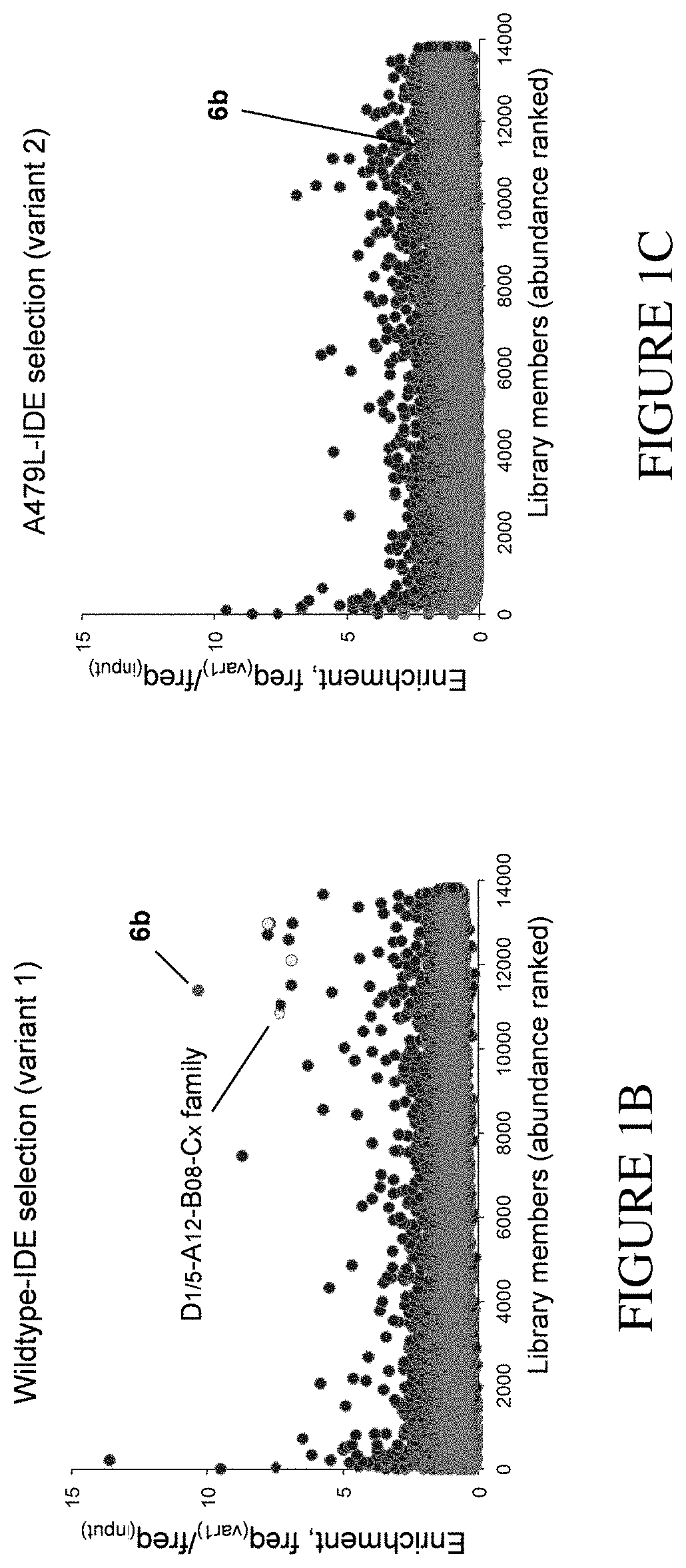 Assay for exo-site binding molecules