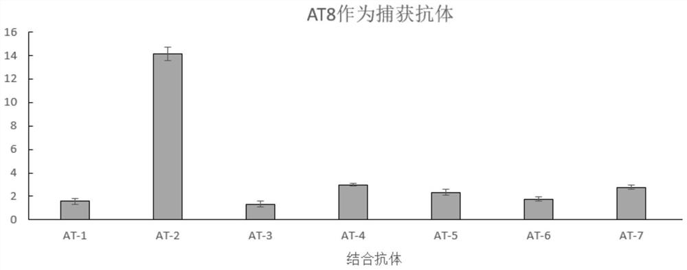 A colloidal gold test strip for detecting human thyroglobulin