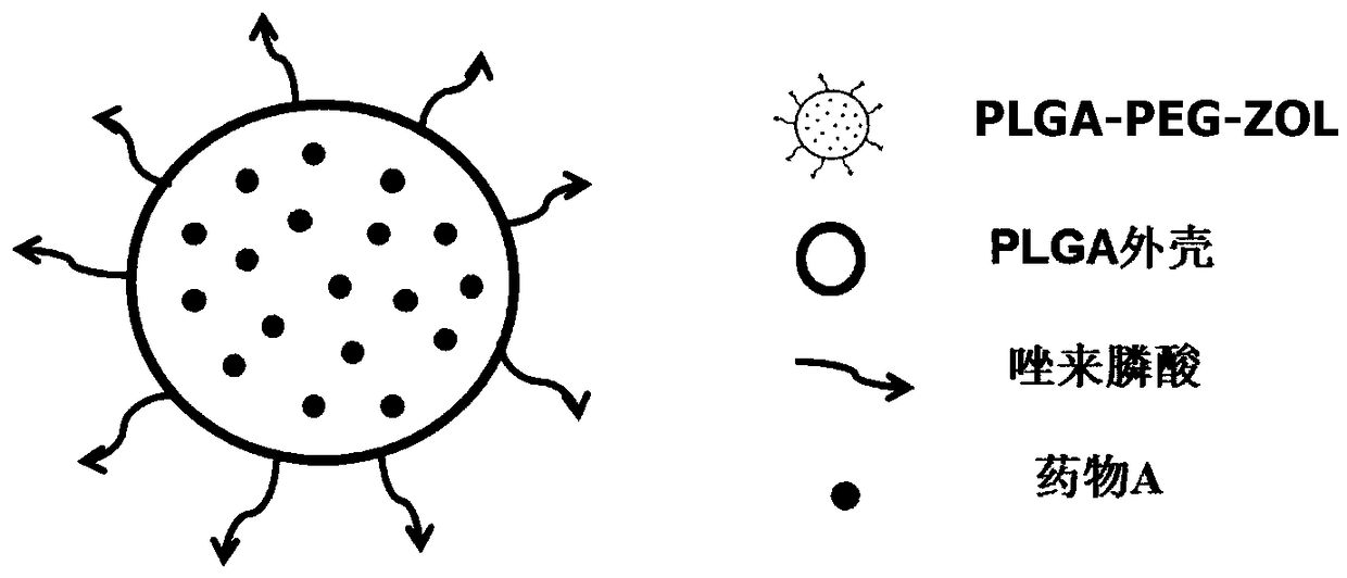 PLGA-PEG-ZOL drug-loaded nano-material specifically targeting bone tissuse, and preparation method thereof