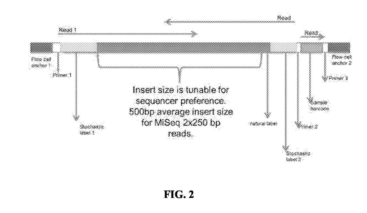 Methods and compositions for rapid nucleic acid library preparation