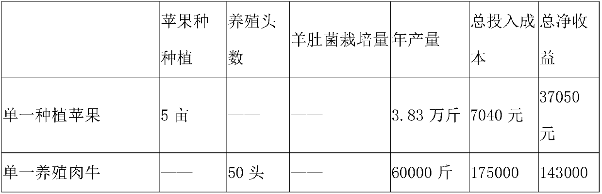 Construction method for apple, beef cattle and toadstool circular agriculture system in semi-arid region