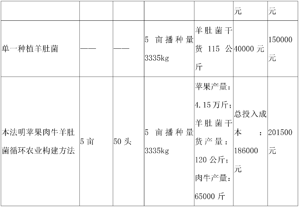 Construction method for apple, beef cattle and toadstool circular agriculture system in semi-arid region