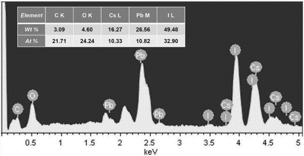 Totally-inorganic halide perovskite material CsPbI3 nanotube, and preparation method and application thereof