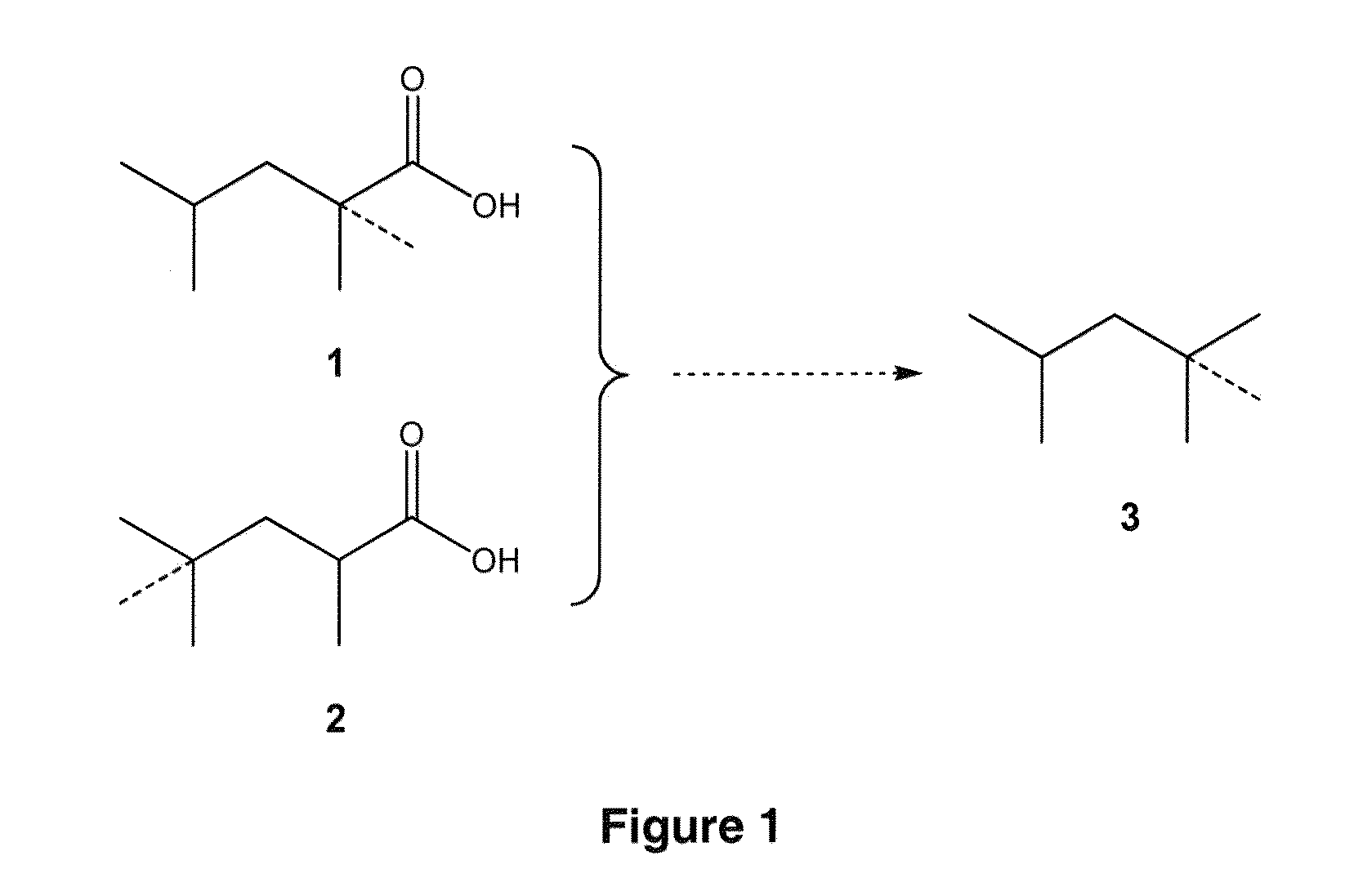 Producing a Trimethylpentanoic Acid Using Hybrid Polyketide Synthases