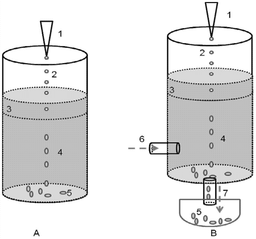 Water-bearing capsule and preparation method thereof