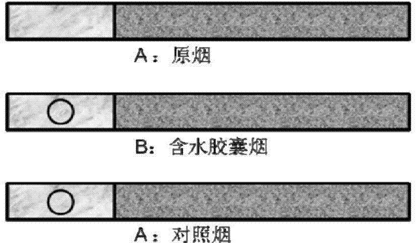 Water-bearing capsule and preparation method thereof