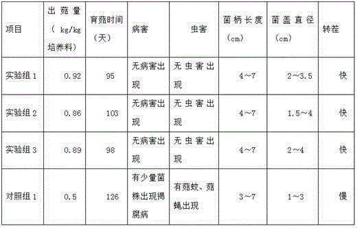 White beech mushroom culturing material and preparation method thereof