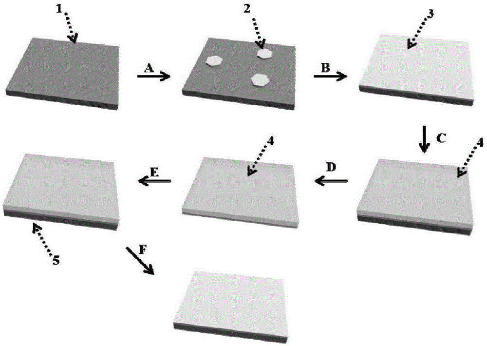 Graphene single crystal and rapid growth method thereof