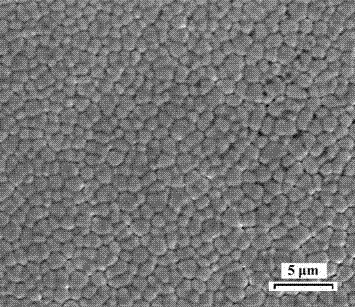 Method for manufacturing Mn-Co(Ni)-Ge-based alloy ribbon through electric arc melting and quick melt quenching