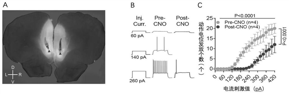 Application of chemical genetics pharmaceutical composition in preparation of medicine for preventing and treating propofol addiction