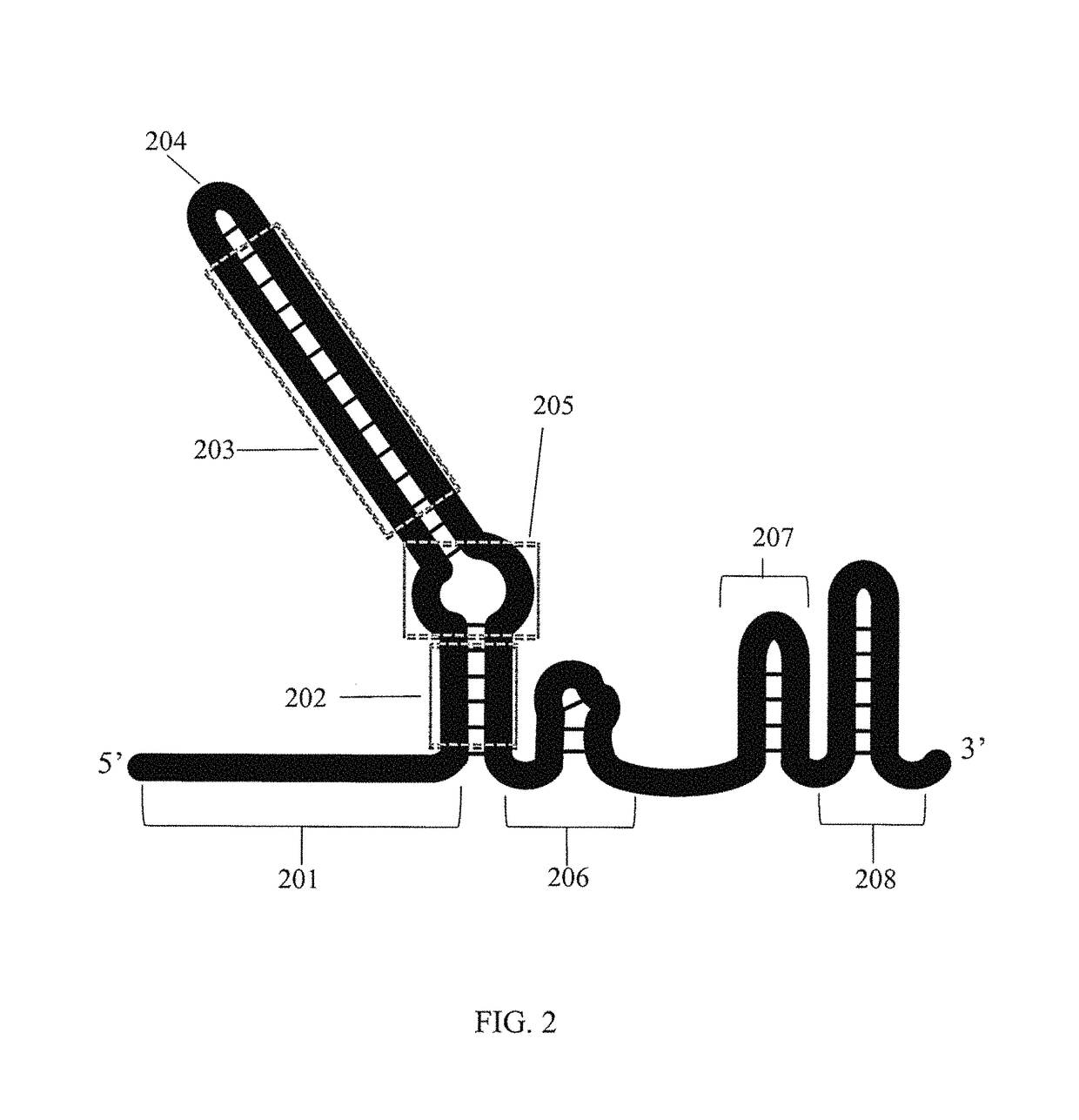 Methods for increasing CAS9-mediated engineering efficiency