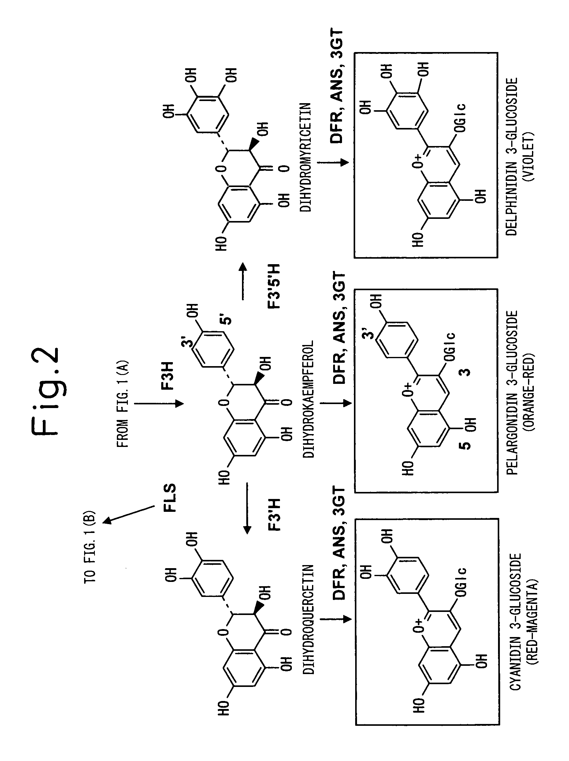 Method for producing yellow flower by controlling flavonoid synthetic pathway