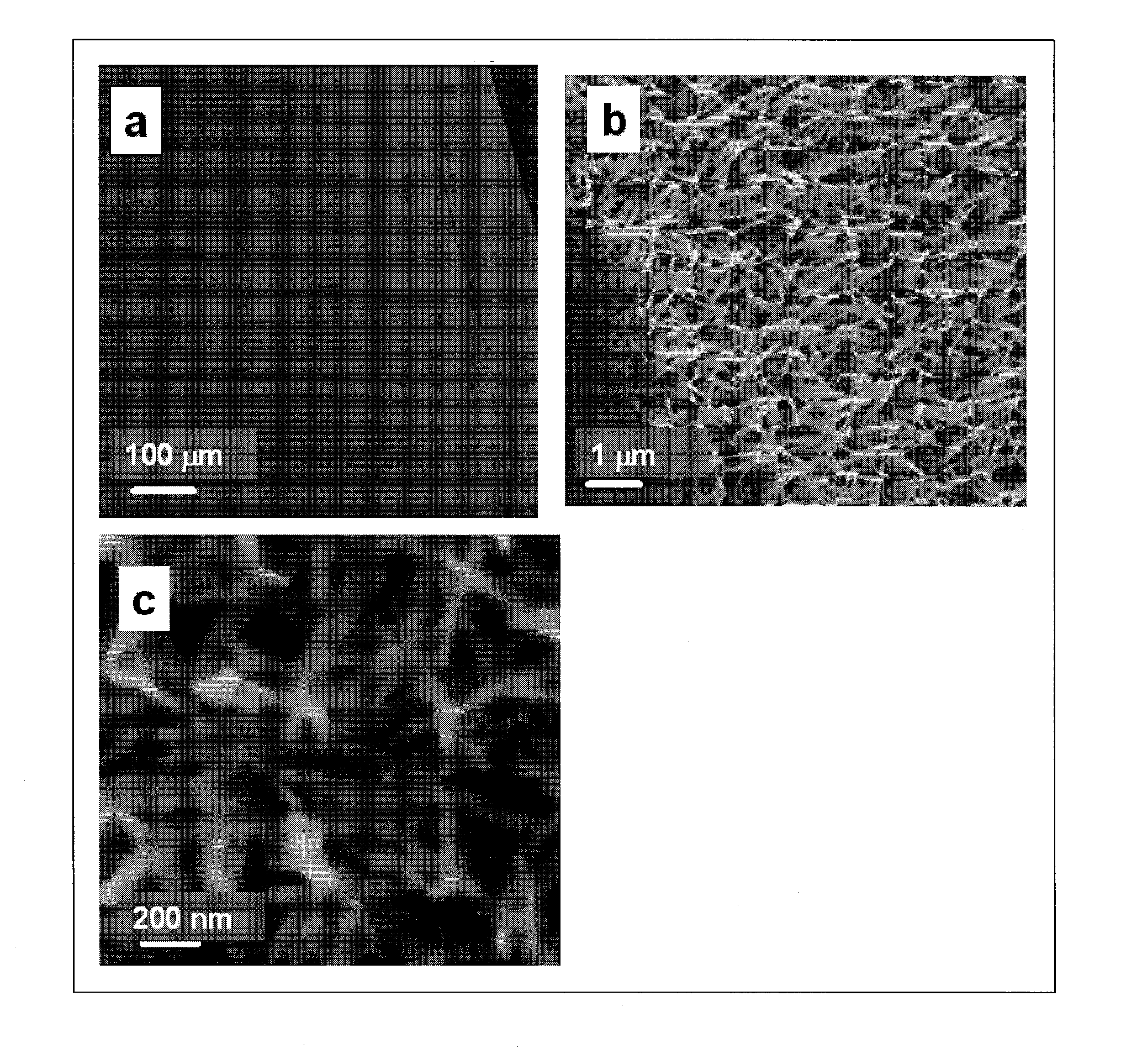 Process for producing nanostructure composite-covered structure, nanostructure composite-covered structure, and reactor using nanostructure composite-covered structure