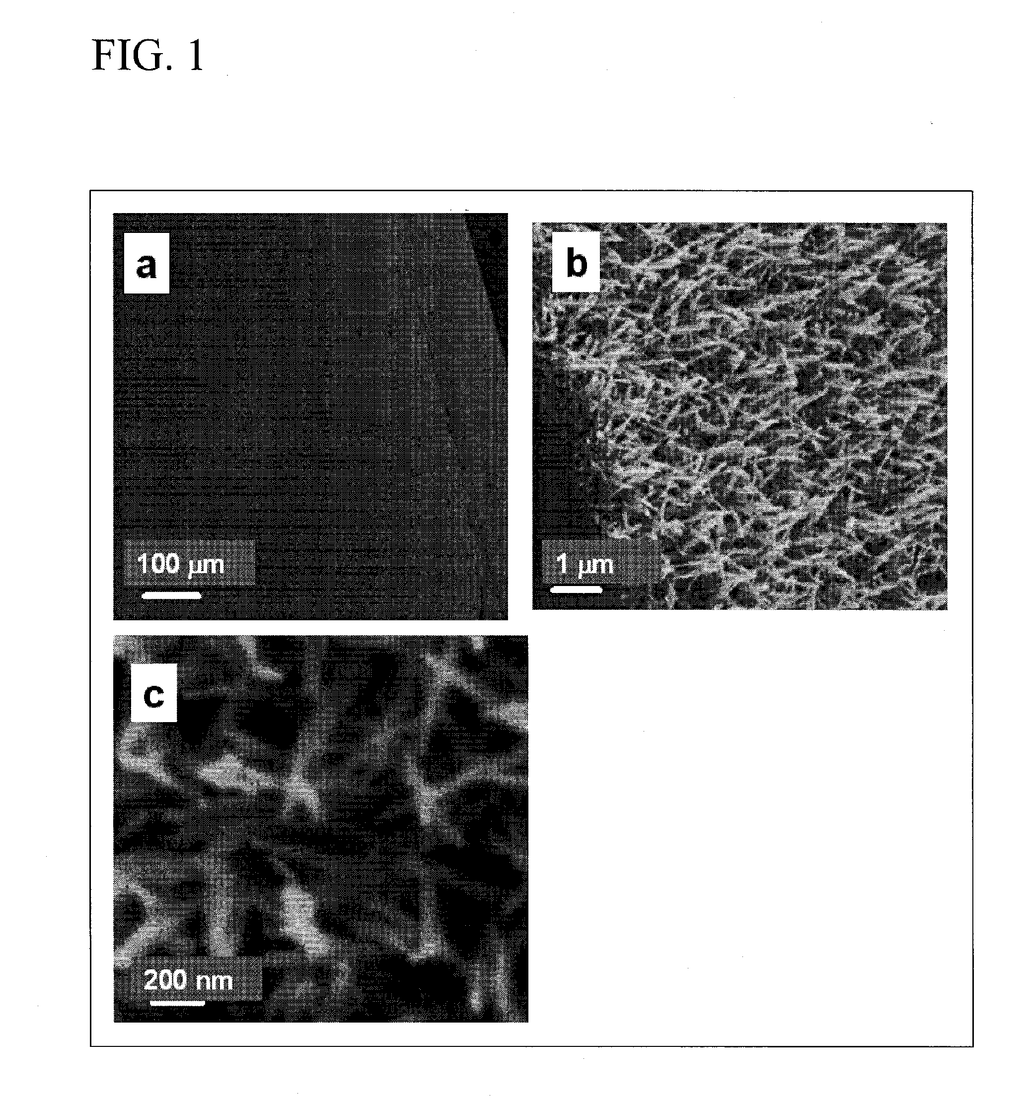 Process for producing nanostructure composite-covered structure, nanostructure composite-covered structure, and reactor using nanostructure composite-covered structure