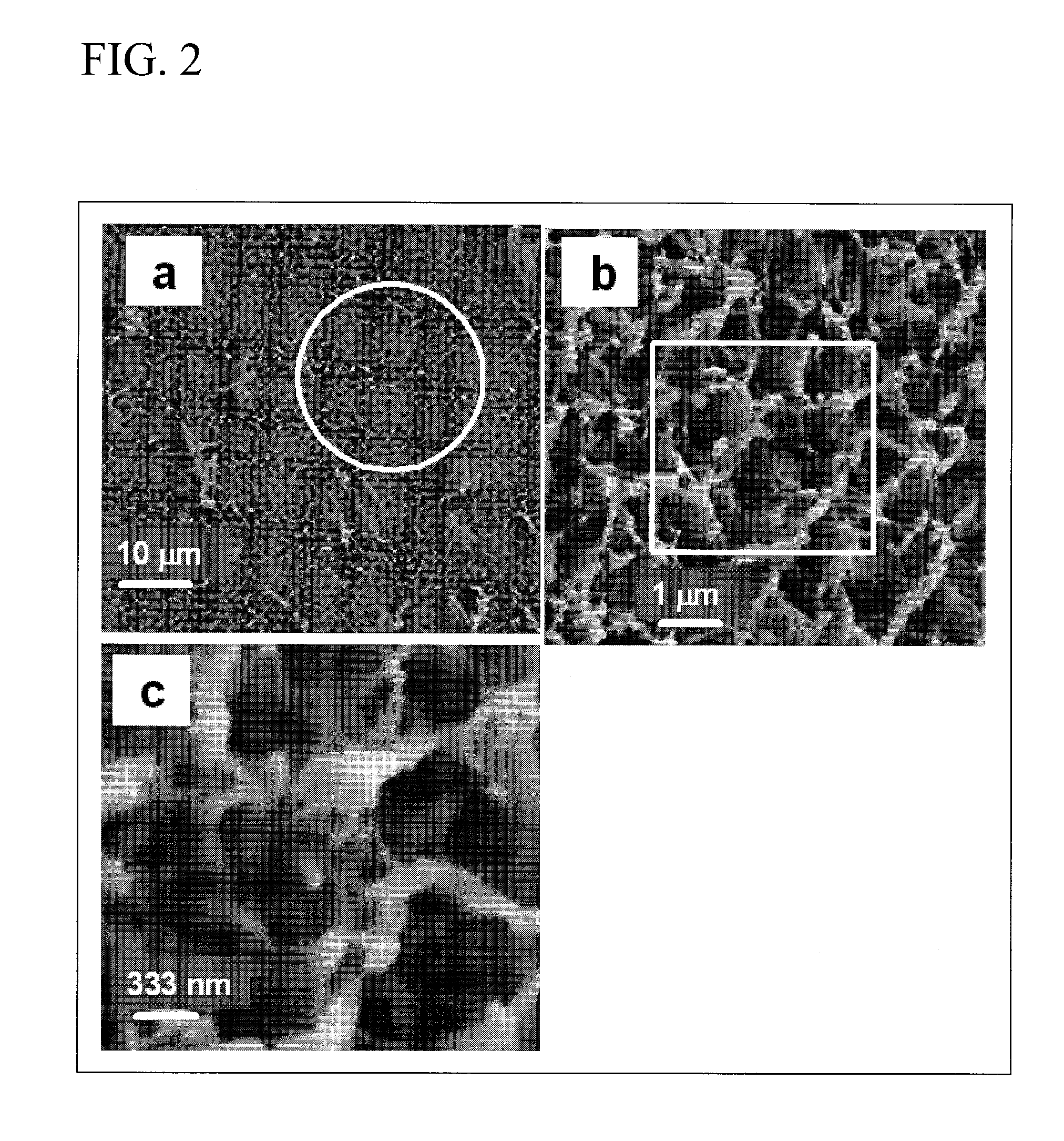 Process for producing nanostructure composite-covered structure, nanostructure composite-covered structure, and reactor using nanostructure composite-covered structure