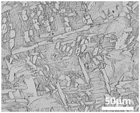 Gradient function titanium alloy strip material and preparation method