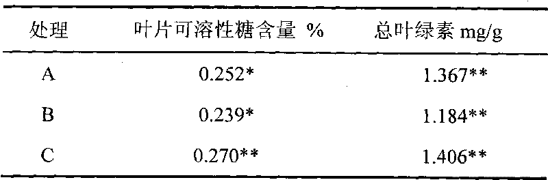 High concentration drip irrigation special fertilizer for vegetative growth phase of grapes