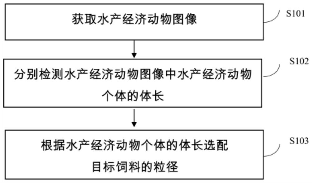 Aquaculture feeding method, terminal equipment and readable storage medium