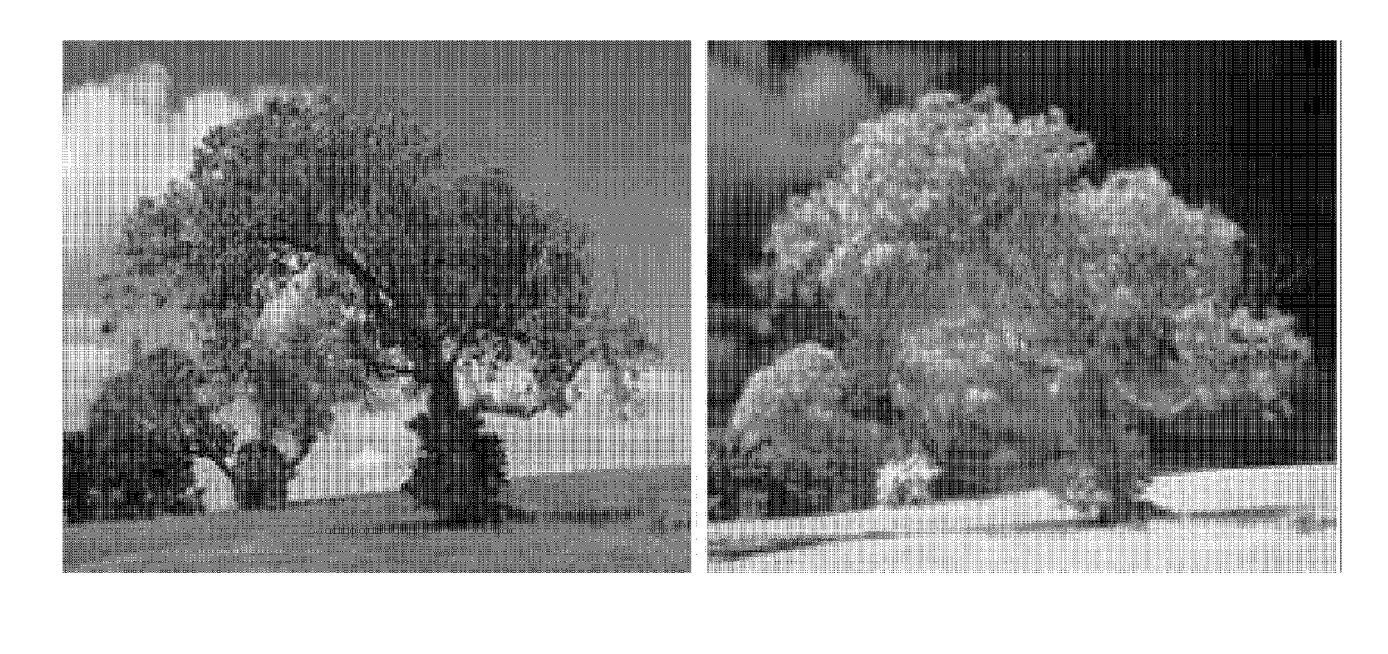 One chip image sensor for measuring vitality of subject