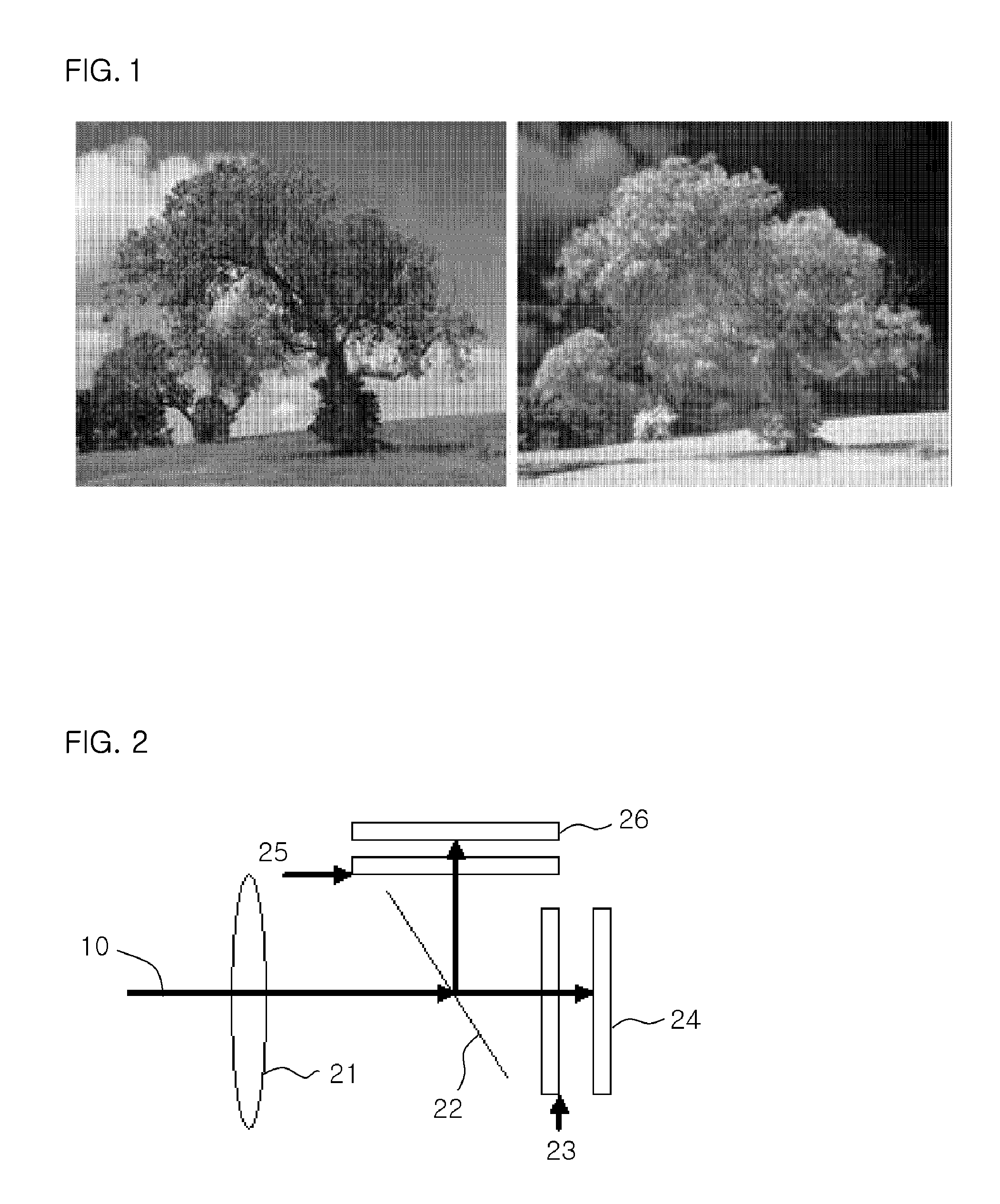 One chip image sensor for measuring vitality of subject