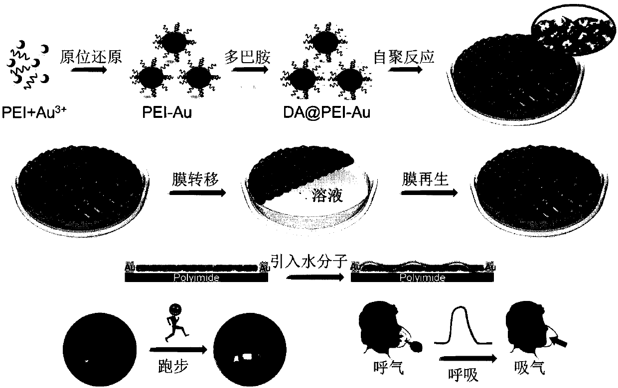 Renewable two-dimensional compound film and production method and application thereof