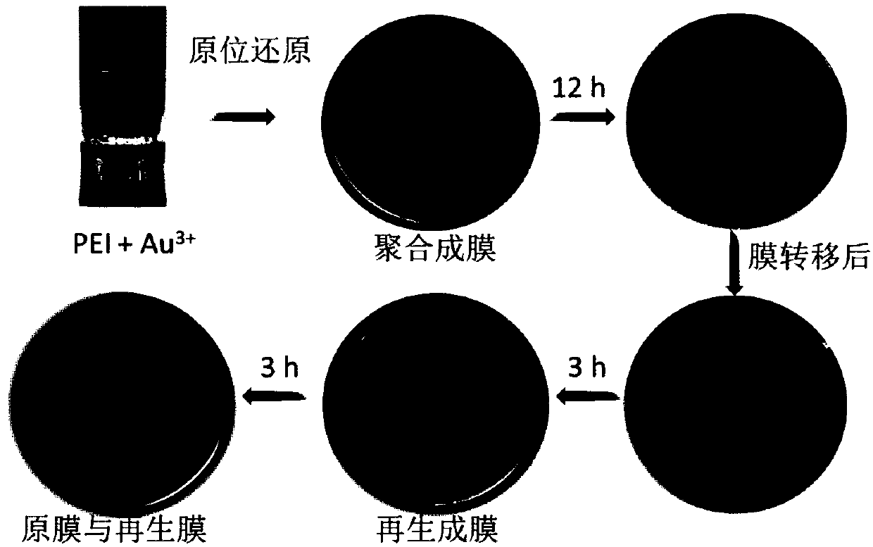 Renewable two-dimensional compound film and production method and application thereof