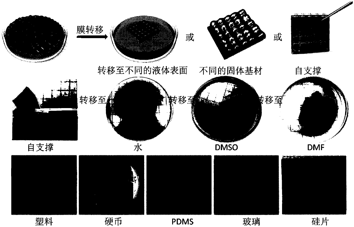 Renewable two-dimensional compound film and production method and application thereof