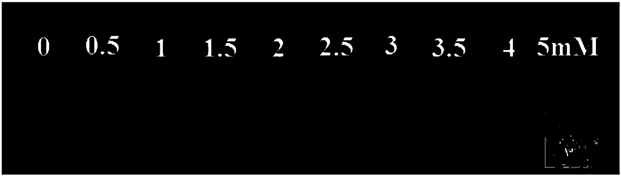 Glass slide or test paper array for liquid calcium ion detection and preparation and use method