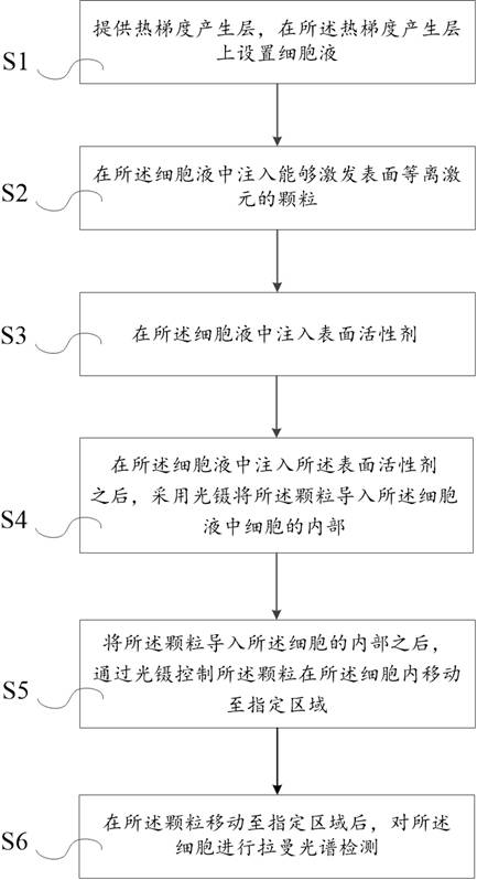 An Active Intracellular Raman Spectroscopy Detection Method