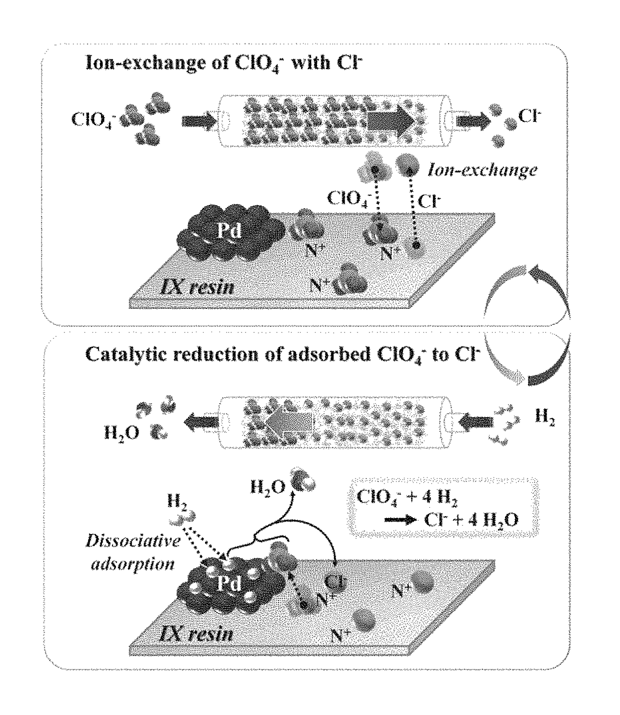 Metal-supported anion exchange resins and method of remediating toxic anions using the same