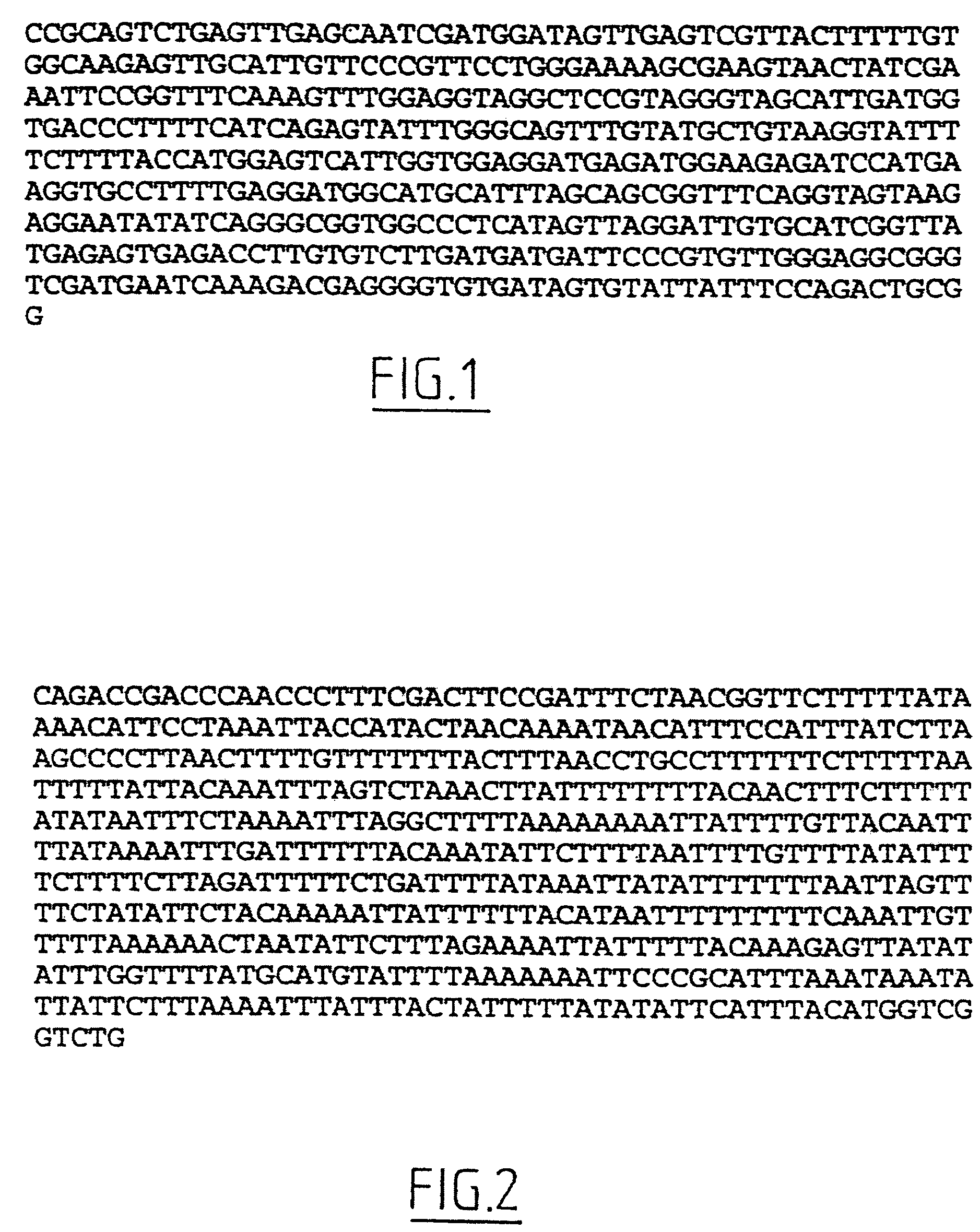 Method for obtaining a plant with a lasting resistance to a pathogen