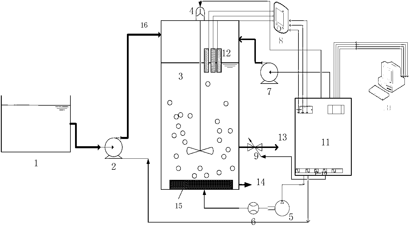 Magnetic activated sludge reactor and method for realizing short-cut denitrification