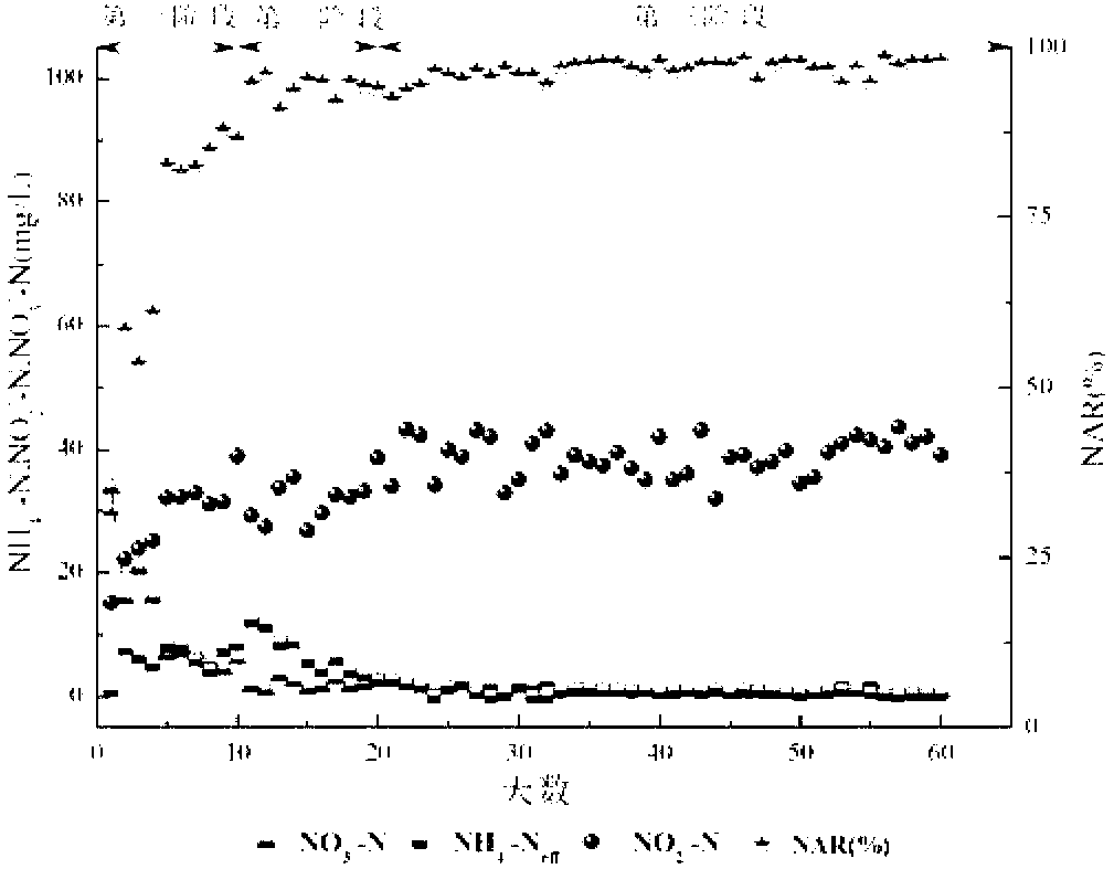 Magnetic activated sludge reactor and method for realizing short-cut denitrification