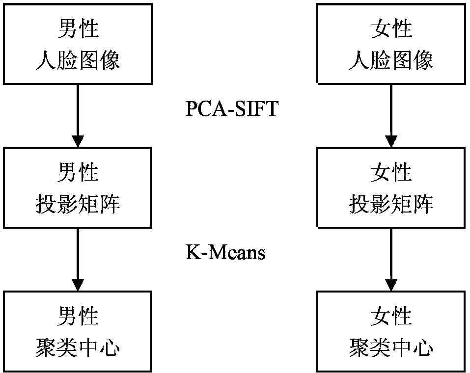 Method and system for detecting and tracking multi-pose face