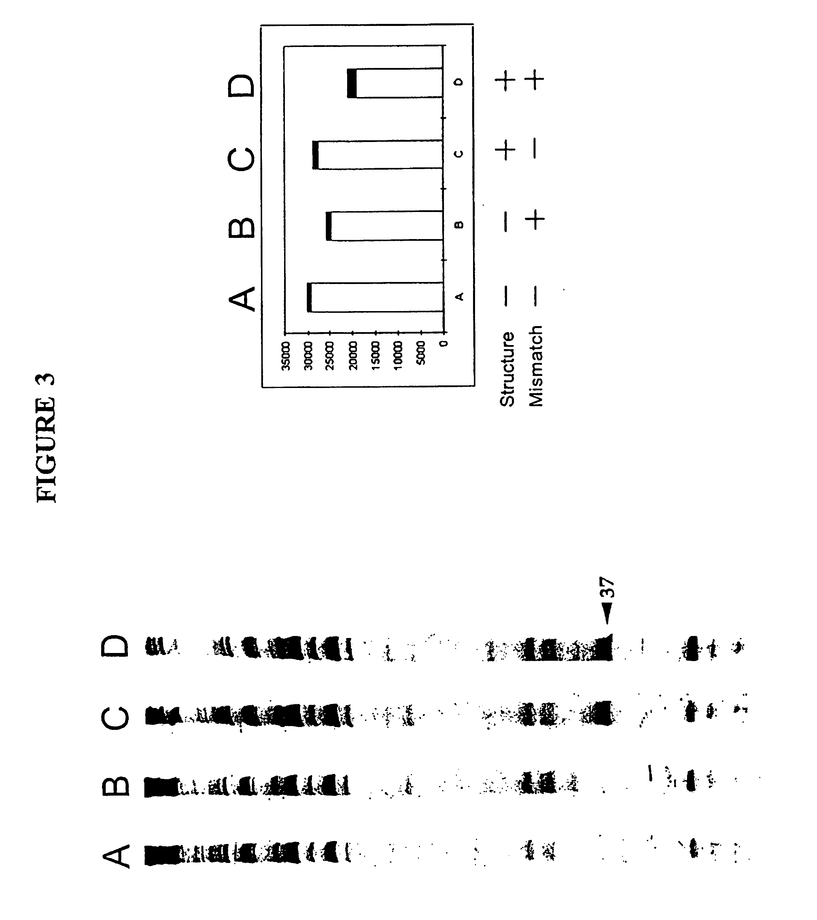 Nucleic acid accessible hybridization sites