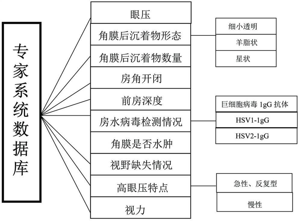 A portable glaucoma ciliary body syndrome diagnosis and treatment instrument