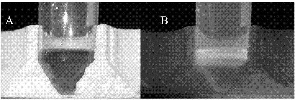 A kind of expression vector construction method and kit of citrus decay virus