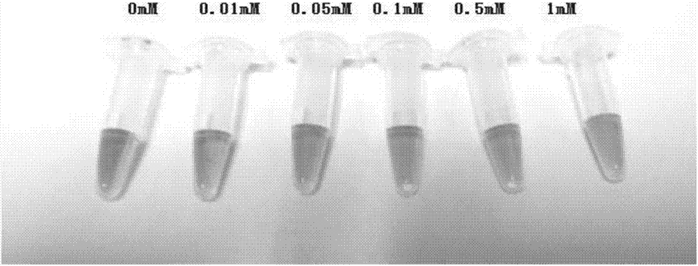 Novel arsenic aptamer nucleic acid sequence, and applications thereof in detection of arsenic ions