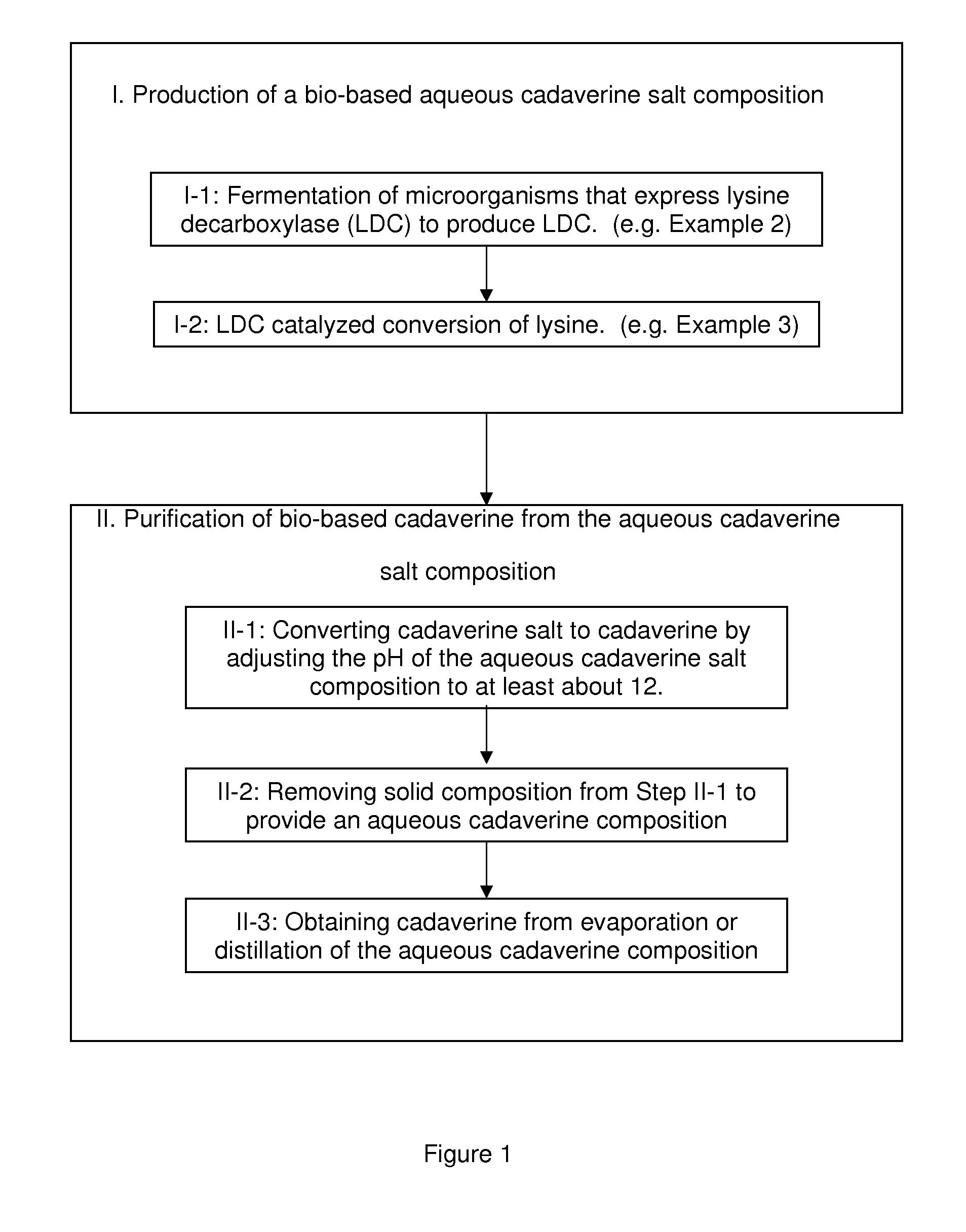 Purification of cadaverine