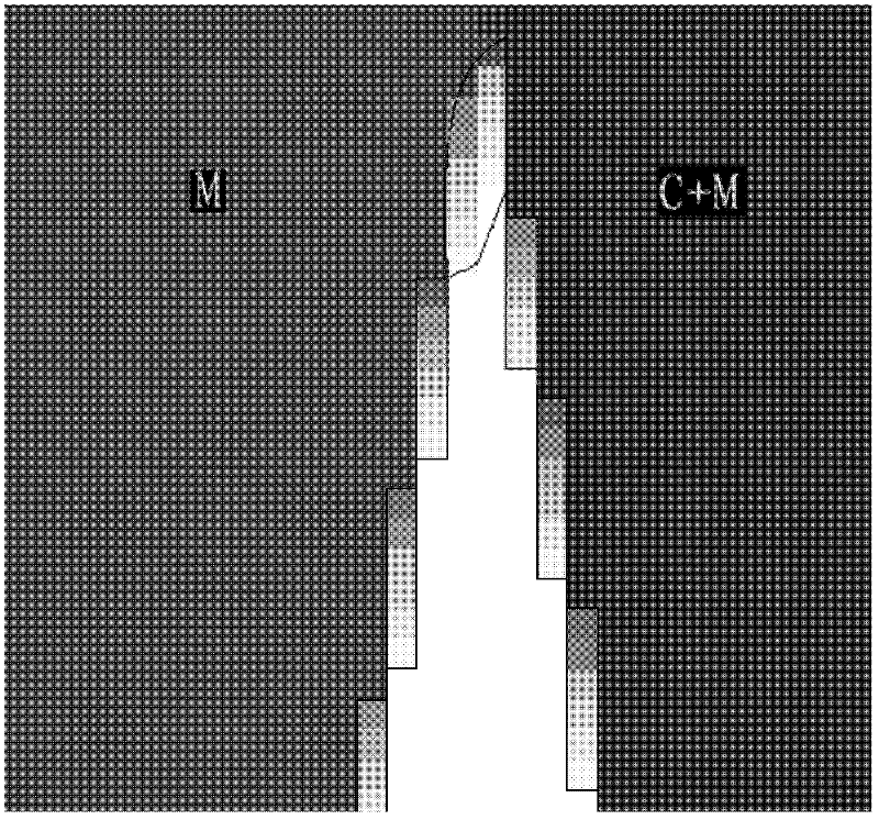 Image trapping method and system