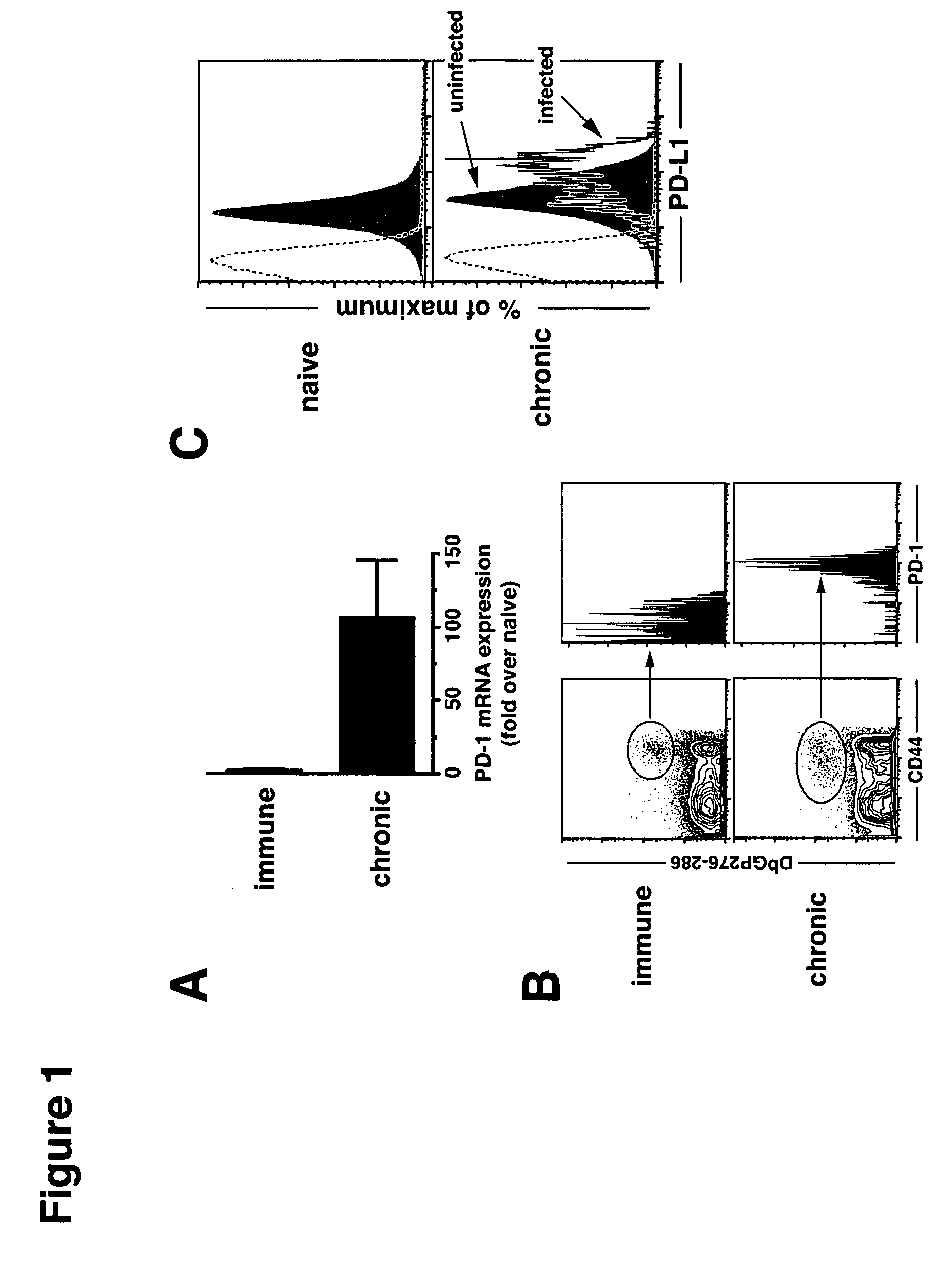 Methods and compositions for the treatment of persistent infections