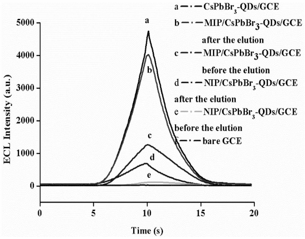 Preparation method of perovskite quantum dot-molecular imprinted electrochemiluminescence sensor for detecting prometryn and detection application thereof