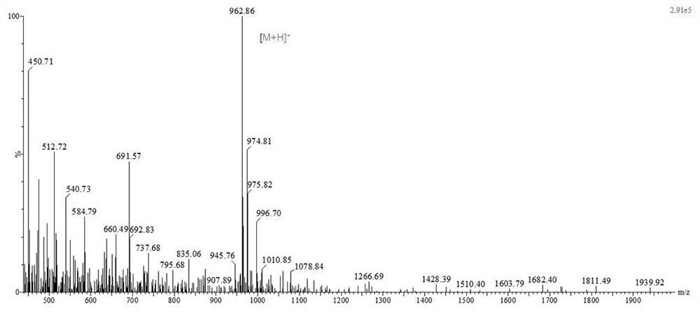 An affinity peptide ty peptide targeting dendritic cells and its application