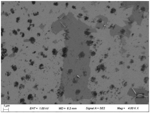 Two-dimensional layered vermiculite membrane, production and application