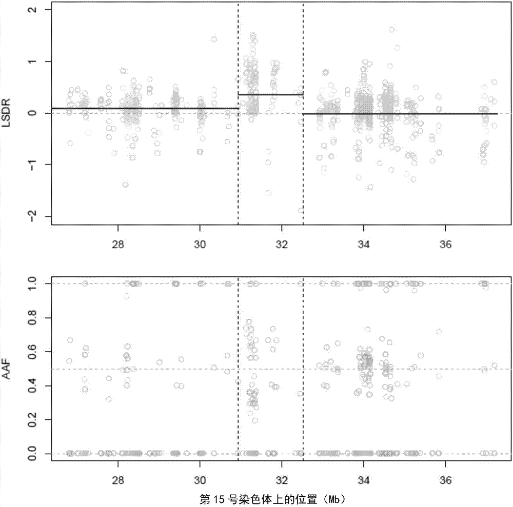 Detection method and system for copy number variation in genome