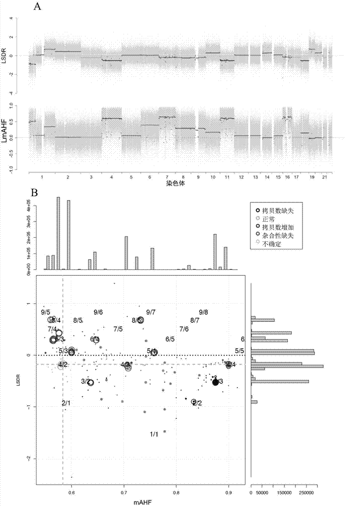 Detection method and system for copy number variation in genome