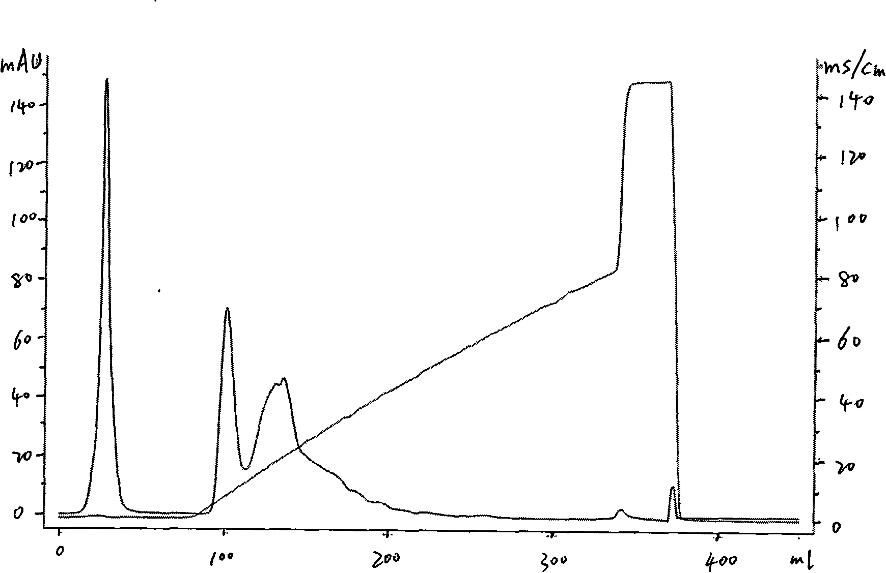 Sea cucumber polypeptide, preparation method and application thereof